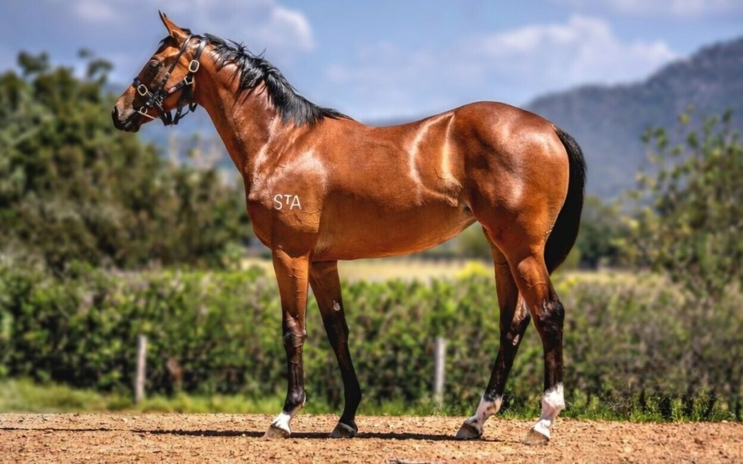 Hellbent – Lucky Legacy