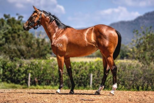 Hellbent - Lucky Legacy