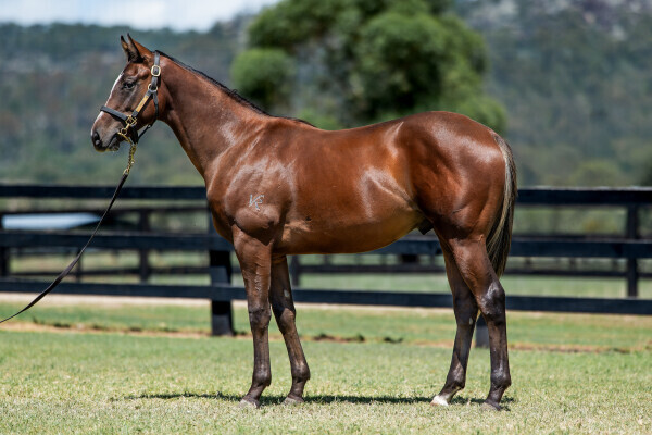 Trapeze Artist – Deep Expectation